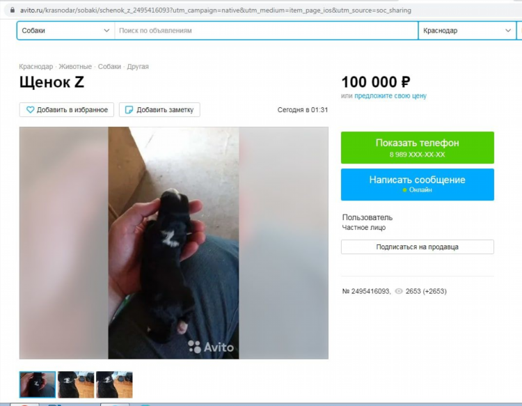 Авито доска объявлений собаки