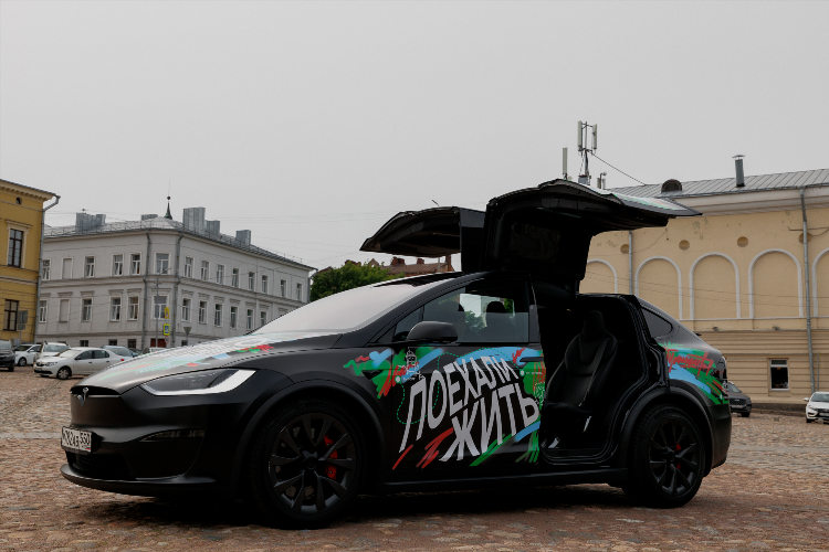 Авито воронежская область бесплатные объявления от частных лиц животные