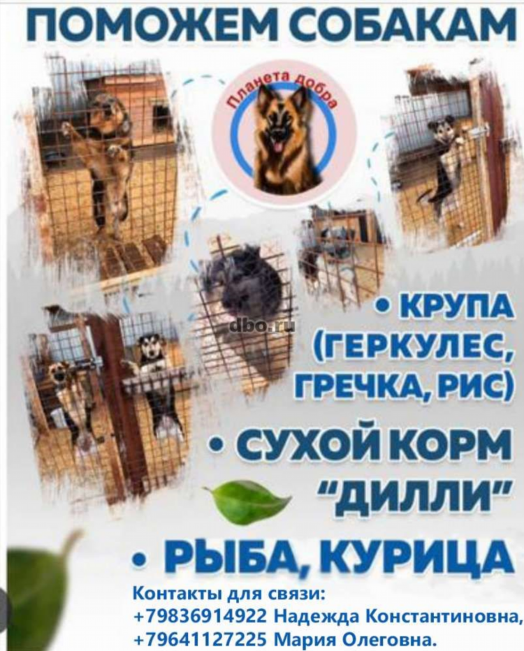 Бесплатные доски объявлений ангарск