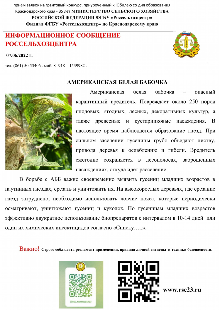 Доска объявлений лабинск бесплатно мобильная