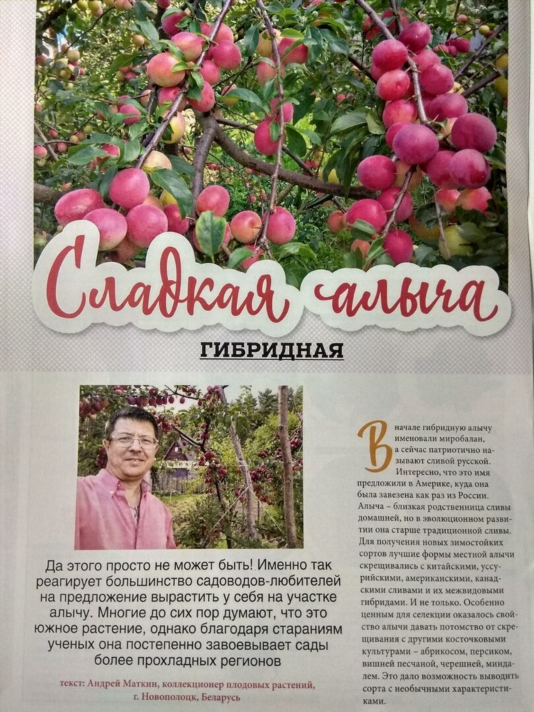 Доска объявлений новополоцк