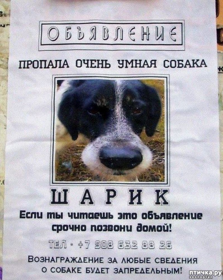 Доска объявлений особенно