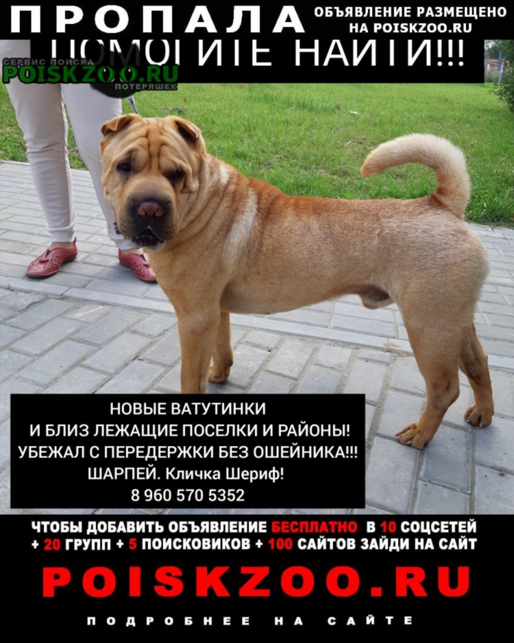Доска объявлений троицк район