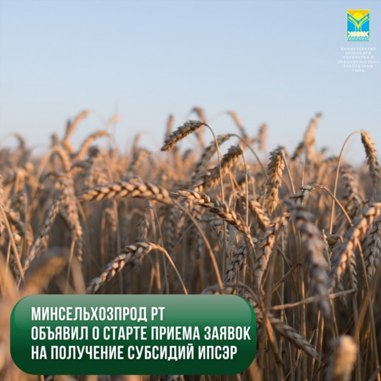 Доска объявлений тува
