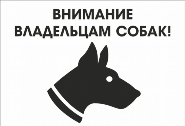 Доска объявлений уйского района