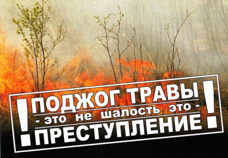 Колпинская доска объявлений