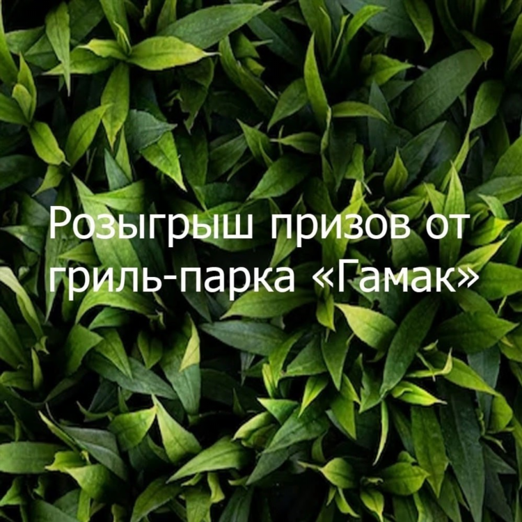 Купить дачу в аглосе самарской области свежее объявление