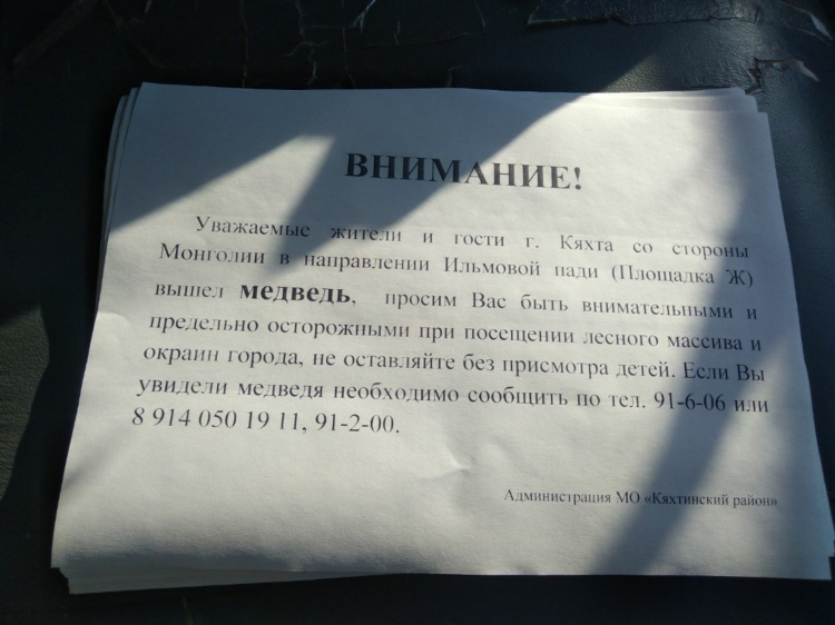 Купить квартиру в кяхте свежие объявления