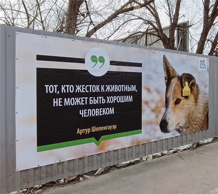 Объявление про животных