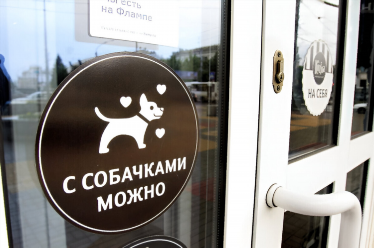 Объявление с собаками вход запрещен