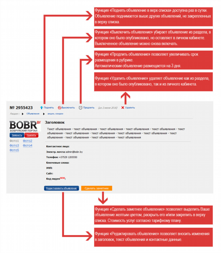 Объявление word