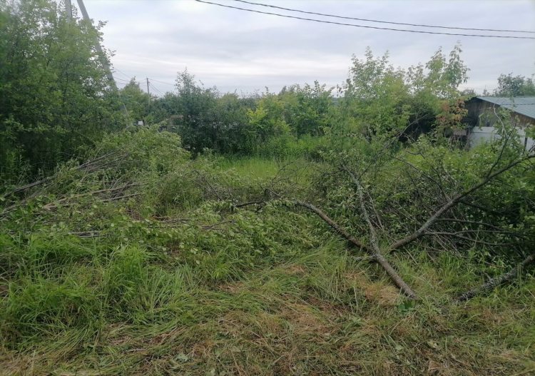 Объявления кстово доска объявлений