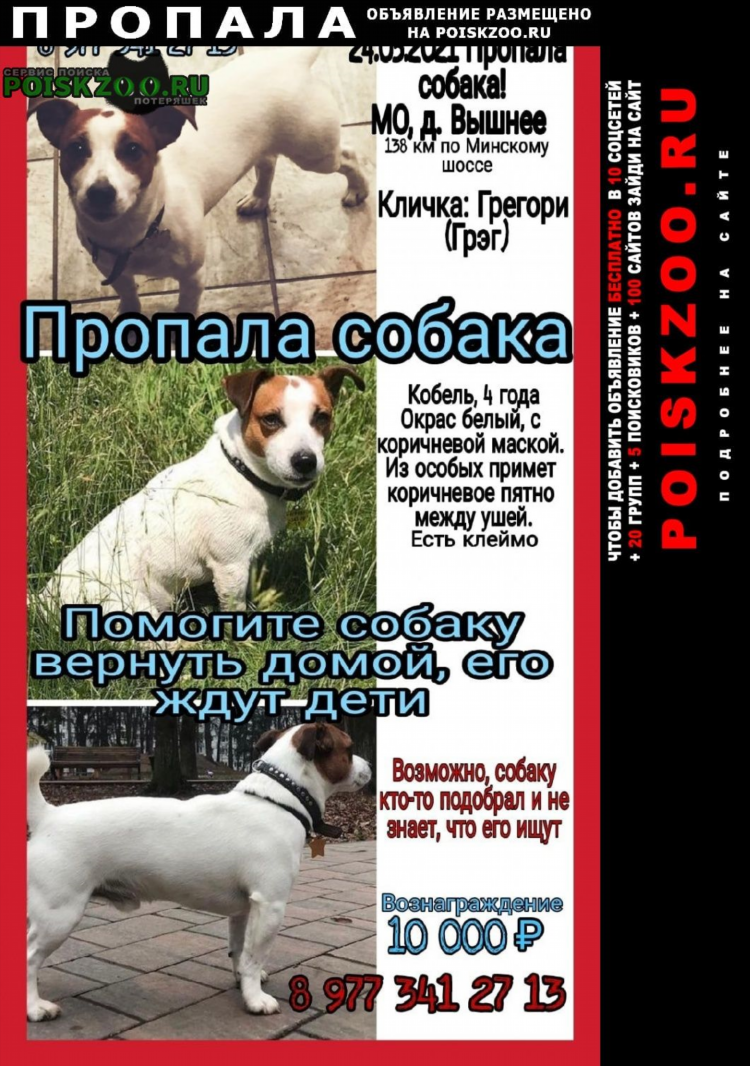 Объявления можайск бесплатные объявления