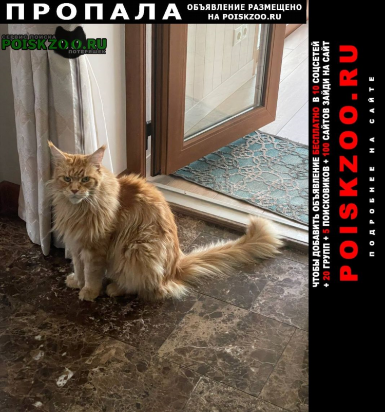 Павловский посад доска объявлений