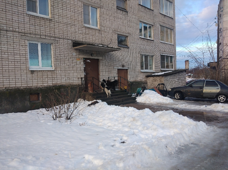 Подслушано в олонце вконтакте сегодня объявления