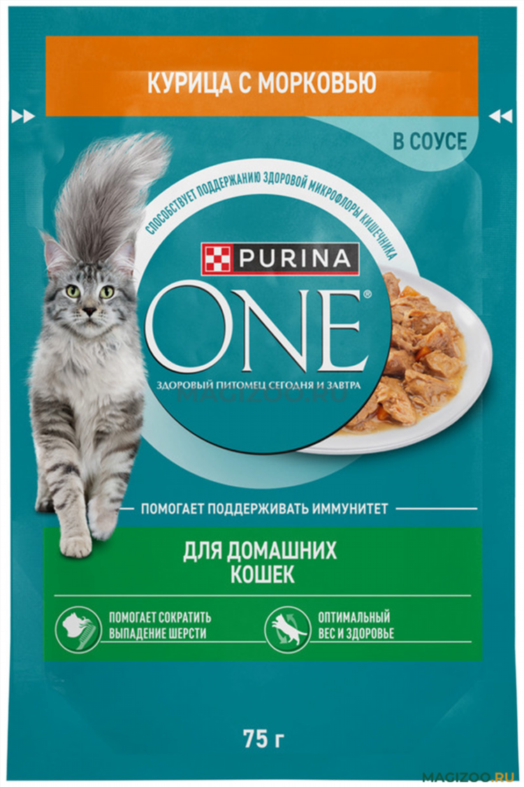 Пропала кошка объявления образец