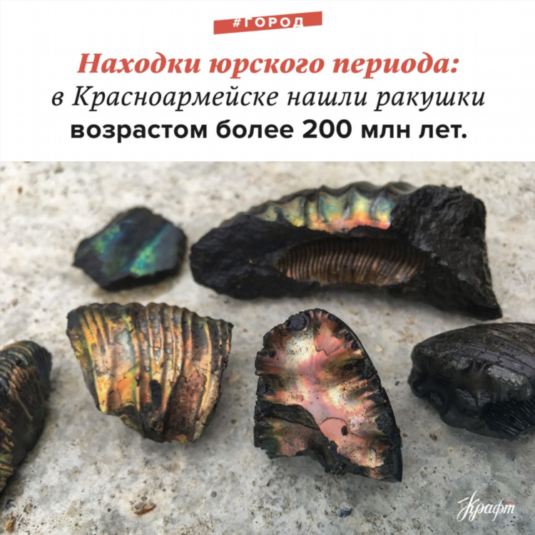 Пушкино доска объявлений бесплатных объявлений