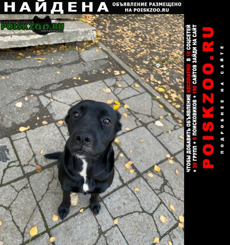 Тольятти бесплатные объявления