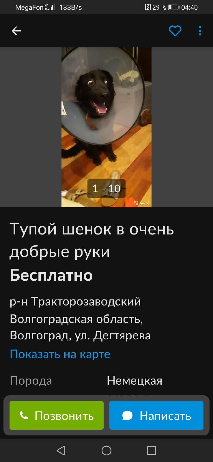 Тупые объявления на авито